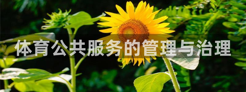 必一体育app下载安