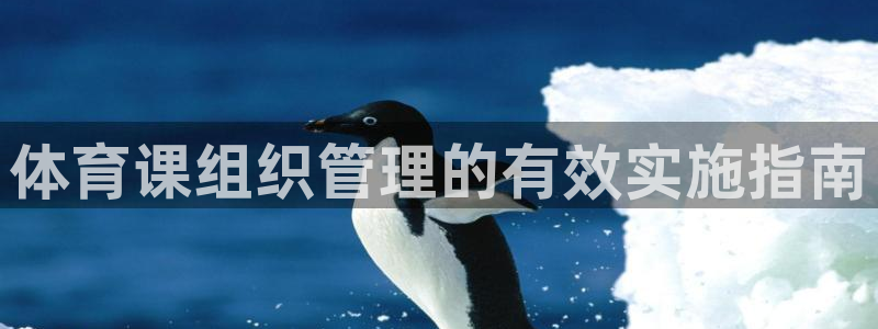 必一体育官方下载入口