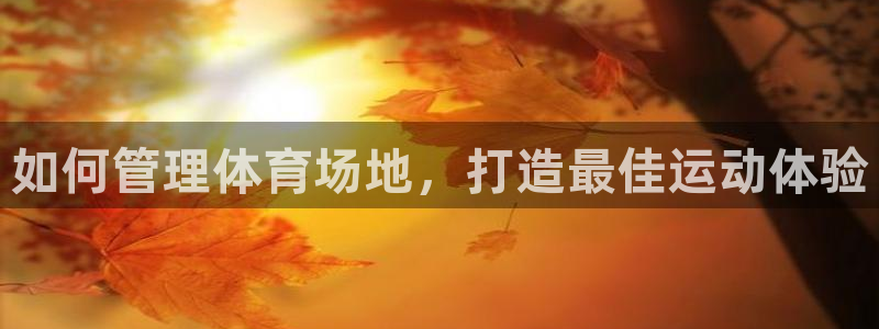 必一体育下载移动版：