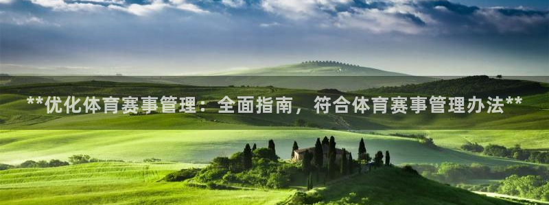 必一体育是哪里的台子：**优化体育赛事管理：全面指南，符合体