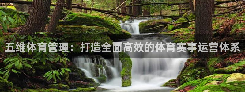 必一运动sport爱查股
