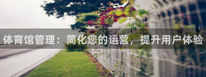 必一运动体