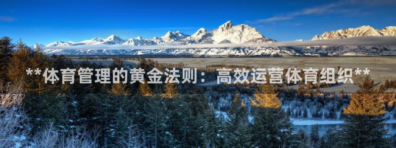 必一体育app下载：**体育管理的黄金法则：高效运营体育组织