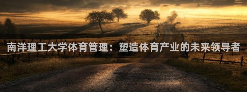 必一体育下载入口：南洋理工大学体育管理：塑造体育产业的未来领