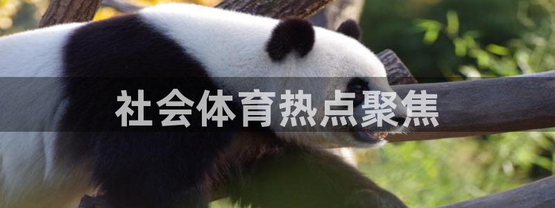必一体育最新官网入口