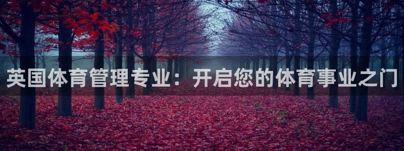必一体育能提现大金额吗