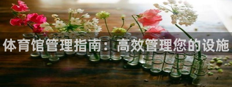 必一体育是哪里的台子