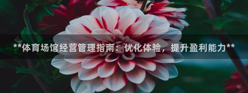 必一体育网址：**体