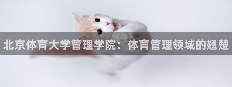 必一体育游戏特色：北