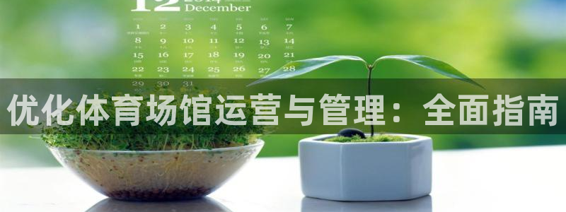 必一体育sport下