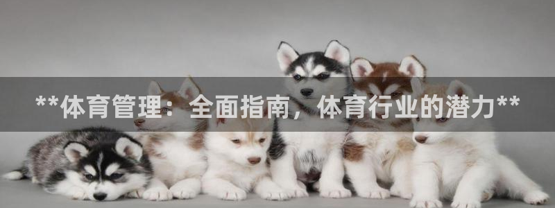必一运动体育官网：*