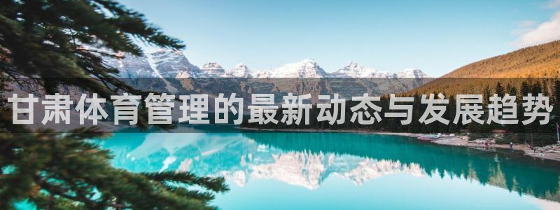 必一体育bsport下载