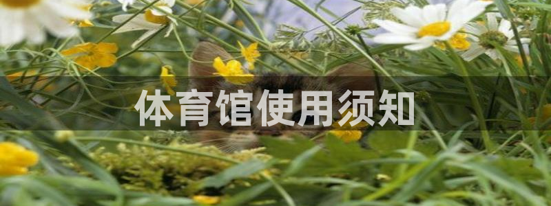 必一运动tieba.