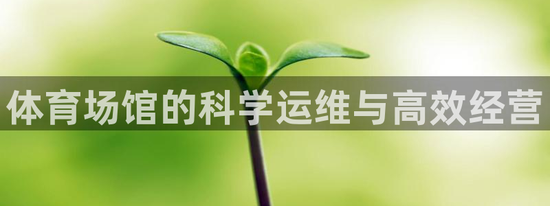 必一体育sport官网
