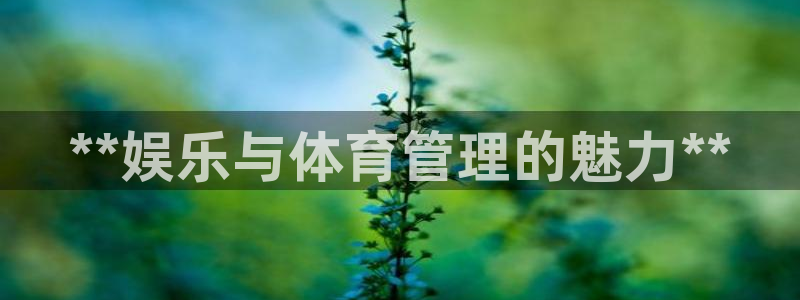 必一体育app下载：