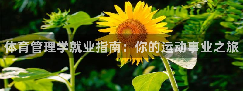 必一体育登陆：体育管理学就业指南：你的运动事业之旅