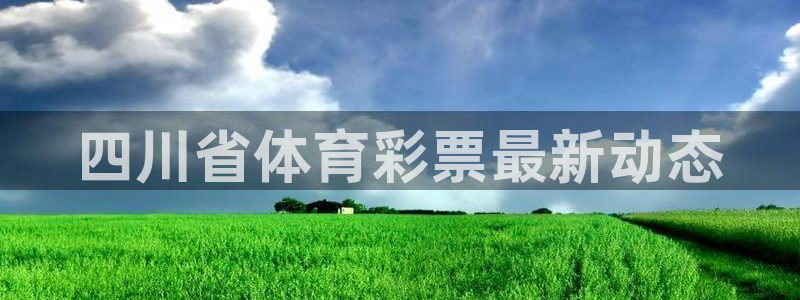 必一体育登录入口：四川省体育彩票最新动态