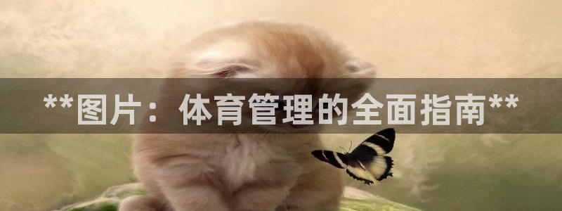 必一体育周公：**图