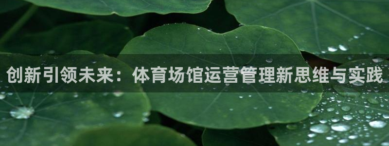 Bsport体育必一：创新引领未来：体育场馆运营管理新思维与