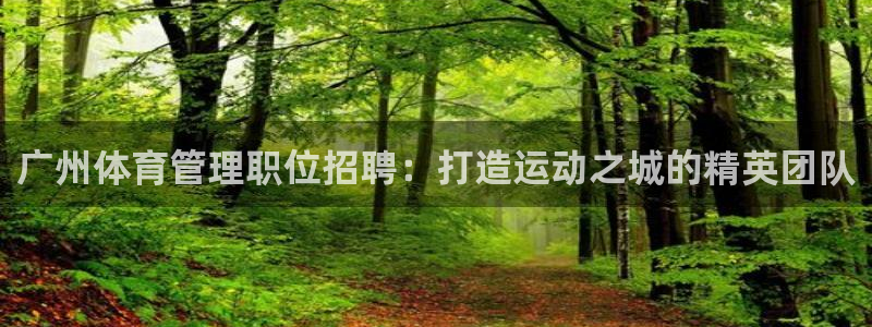 必一体育官方网站入口