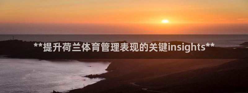 必一体育bsport