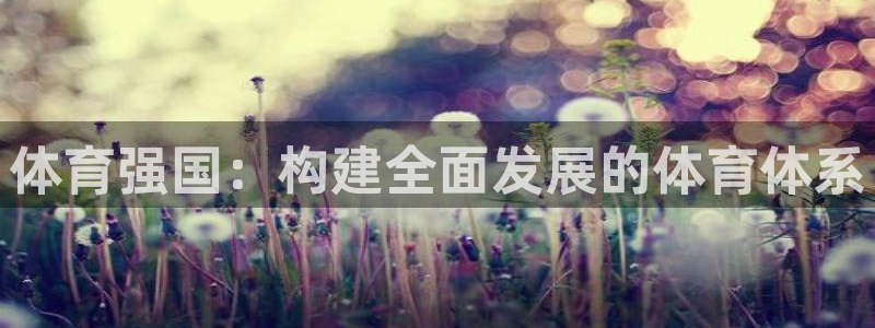 必一体育能提现大金额