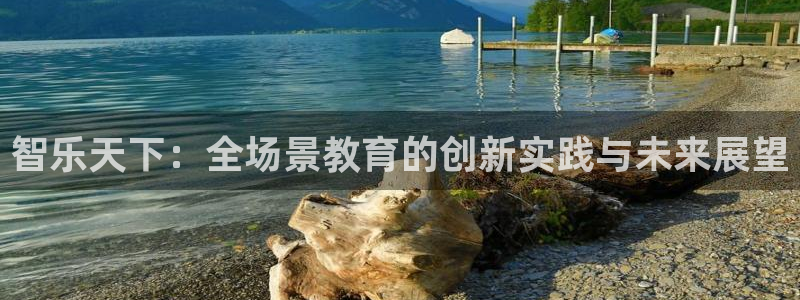 必一体育bsport