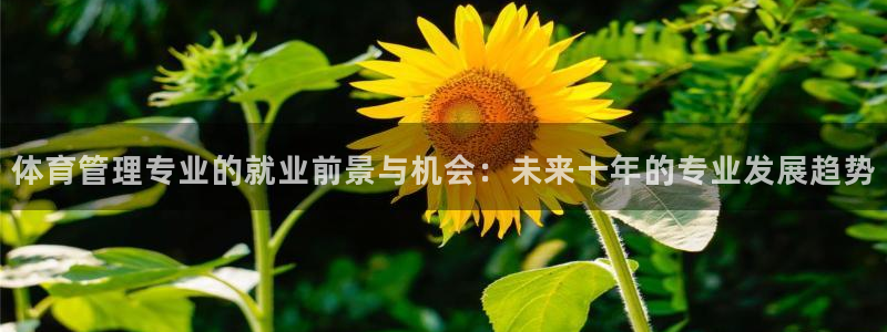 必一运动体育app：
