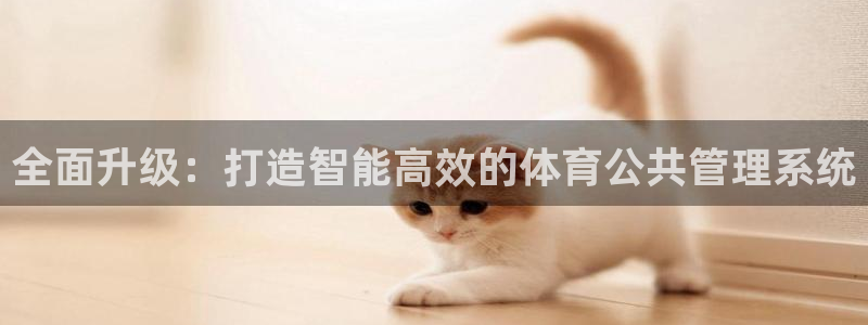 必一体育sport：