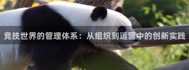 必一体育下载app下