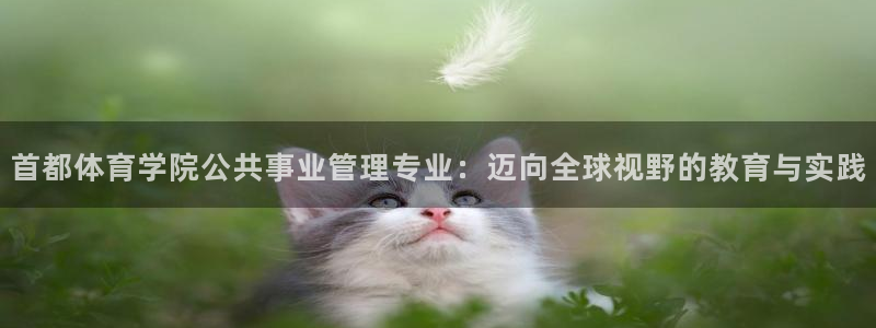 必一体育官方入口：首