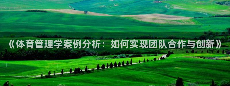 必一体育是啥：《体育