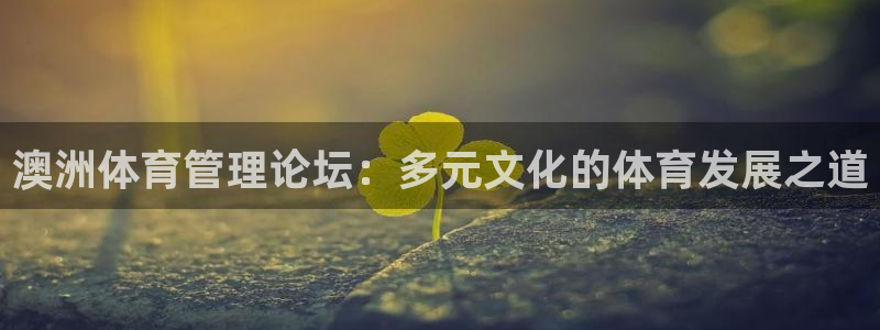 必一体育游戏玩法：澳