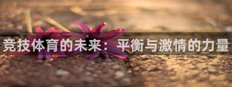 必一运动：竞技体育的