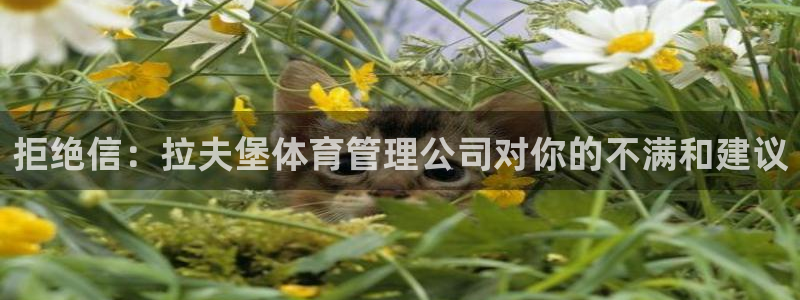 必一体育官方网站入口：拒绝信：拉夫堡体育管理公司对你的不满和