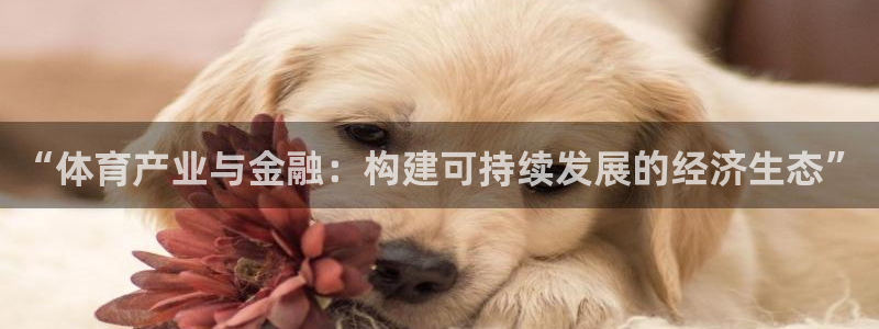 必一体育app下载：