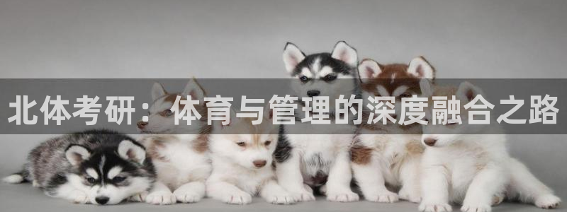 必一体育下载一样吗：