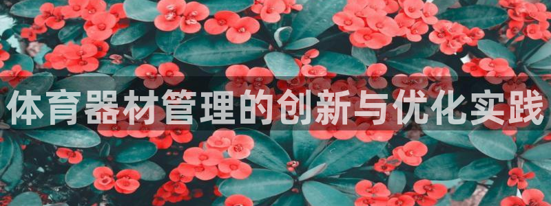 必一体育是哪里的台子
