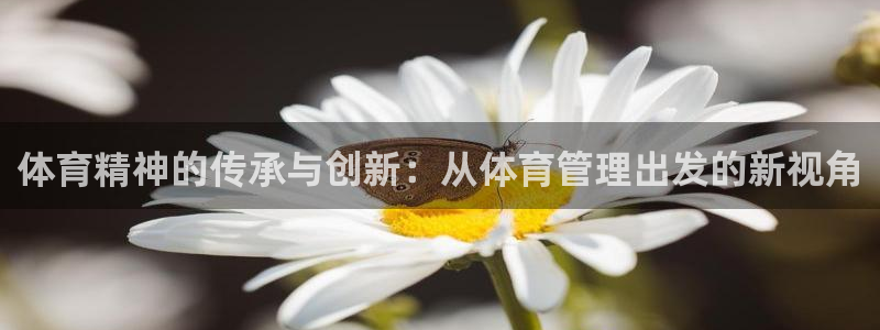 必一体育没了：体育精
