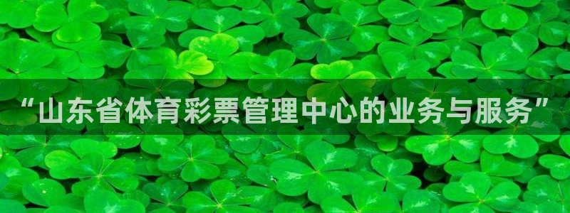 必一体育是啥：“山东