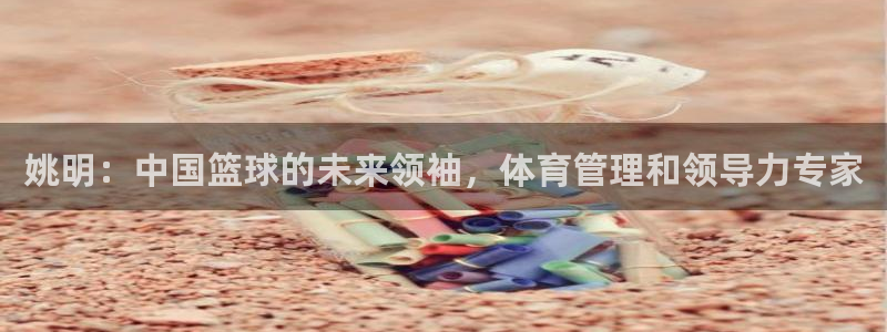 必一体育app下载装