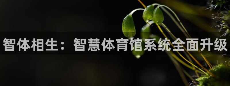 必一体育在线官网：智