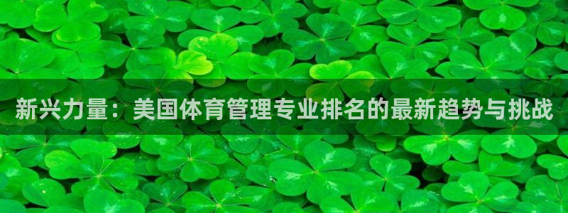 必一运动sport爱查股：新兴力量：美国体育管理专业排名的最