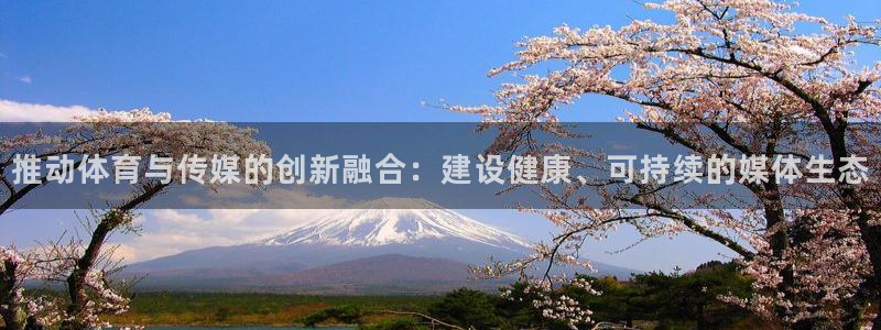 必一体育下载：推动体