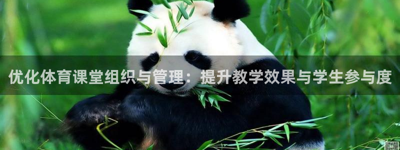 必一运动体育官网下载