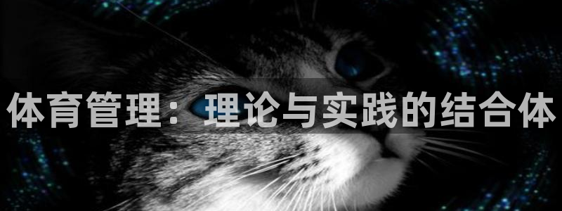 必一运动B-Spor