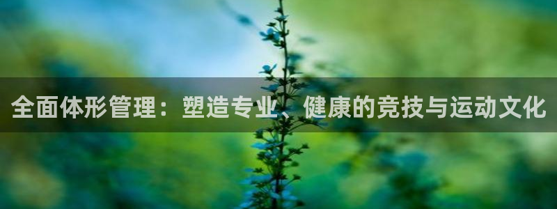 必一体育官网网站：全