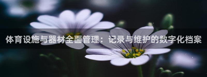 必一体育在哪下：体育
