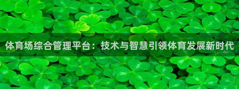 必一体育：体育场综合