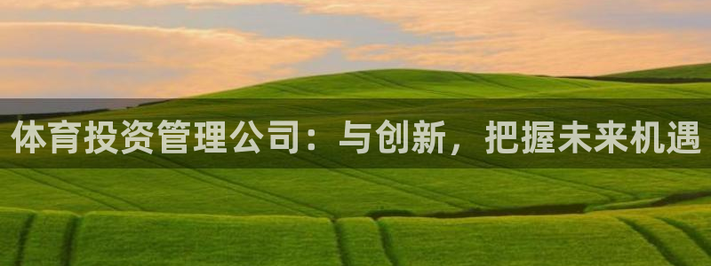 必一体育官网ios下载：体育投资管理公司：与创新，把握未来机